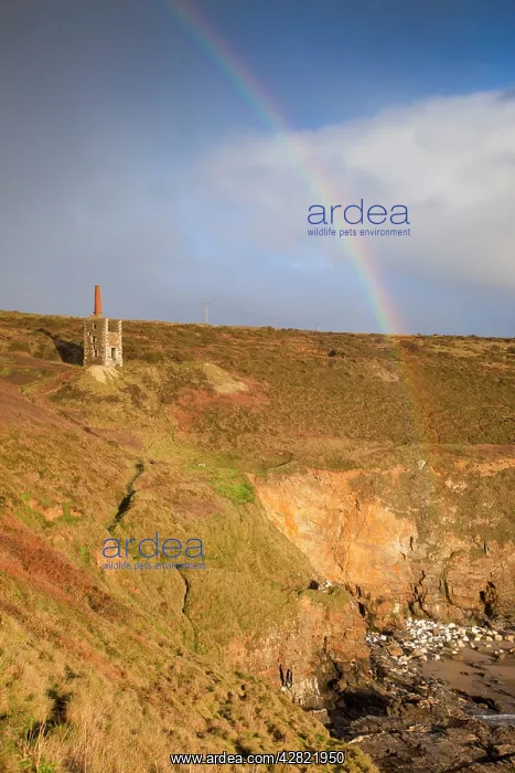 : Rinsey - Engine House - with rainbow : Rinsey - Engine House - with rainbow