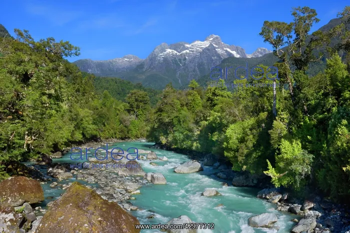 : Rio Blanco - glacier-carved mountains and Blanco : Rio Blanco - glacier-carved mountains and Blanco
