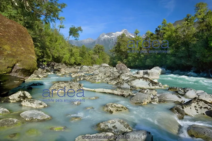 : Rio Blanco - glacier-carved mountains and Blanco : Rio Blanco - glacier-carved mountains and Blanco