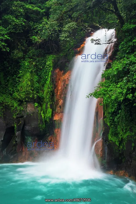 : Rio Celeste Waterfall, Tenorio Volcano National Park : Rio Celeste Waterfall, Tenorio Volcano National Park