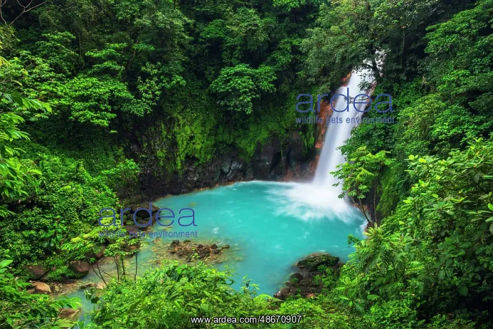 : Rio Celeste Waterfall, Tenorio Volcano National Park : Rio Celeste Waterfall, Tenorio Volcano National Park
