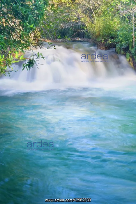 : Rio Formoso waterfall - crystal clear Formoso River : Rio Formoso waterfall - crystal clear Formoso River
