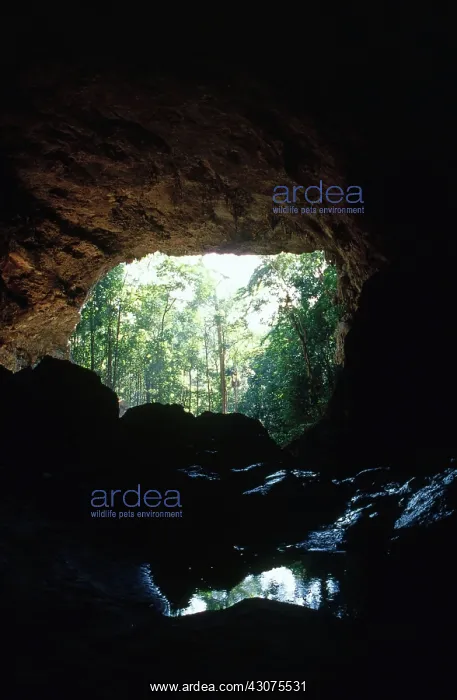 : Rio Frio Cave : Rio Frio Cave