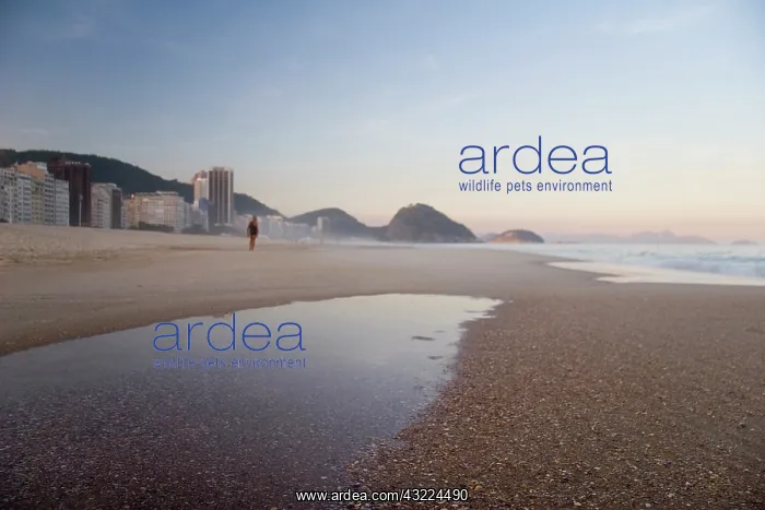 : Rio De Janeiro, Brazil. Copacabana Beach : Rio De Janeiro, Brazil. Copacabana Beach