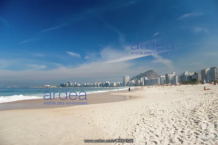 : Rio De Janeiro, Brazil. Copacabana Beach : Rio De Janeiro, Brazil. Copacabana Beach