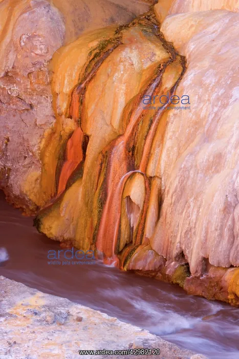 : Rio Mendoza - Puente del Inca - bright orange and : Rio Mendoza - Puente del Inca - bright orange and