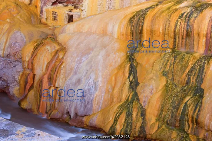 : Rio Mendoza - ruins of an old thermal bath sitting : Rio Mendoza - ruins of an old thermal bath sitting