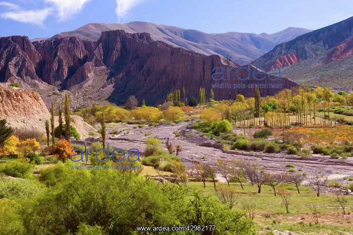  : Rio Purmamarca - dried-up riverbed of Purmamarca