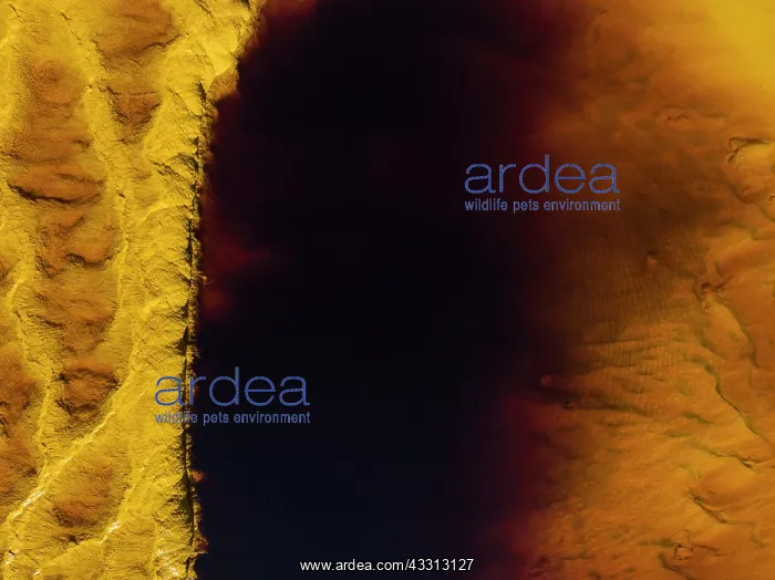 : Detail of the Rio Tinto (Red river) with its deep : Detail of the Rio Tinto (Red river) with its deep