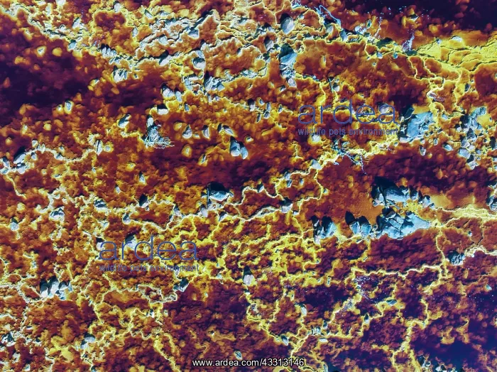 : Detail of the Rio Tinto (Red river) with its deep : Detail of the Rio Tinto (Red river) with its deep