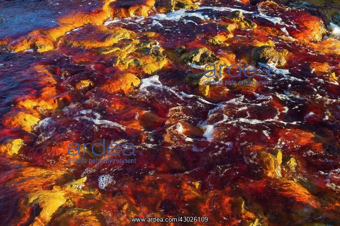 : Detail of the Rio Tinto Red river with its deep redd : Detail of the Rio Tinto Red river with its deep redd