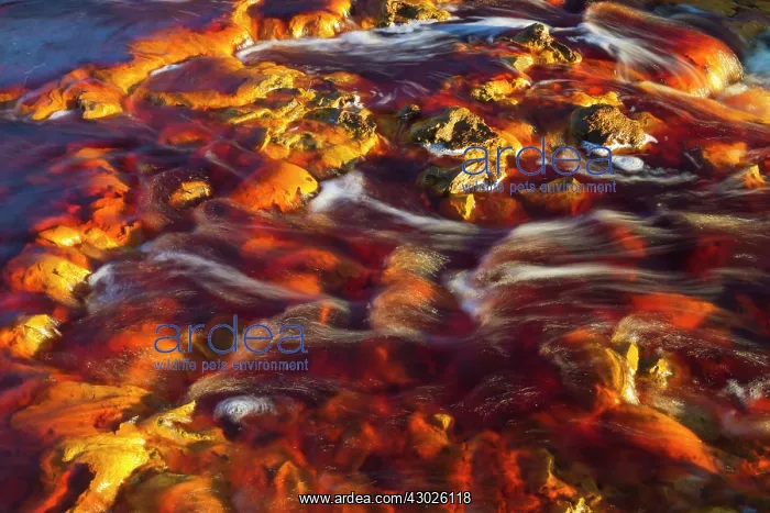 : Detail of the Rio Tinto Red river with its deep redd : Detail of the Rio Tinto Red river with its deep redd
