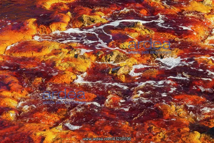 : Detail of the Rio Tinto Red river with its deep redd : Detail of the Rio Tinto Red river with its deep redd