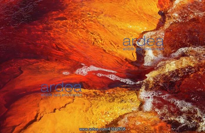 : Detail of the Rio Tinto Red river with its deep redd : Detail of the Rio Tinto Red river with its deep redd