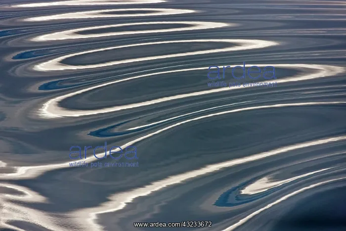 : Ripples pattern, Bering Sea, Russia Far East : Ripples pattern, Bering Sea, Russia Far East