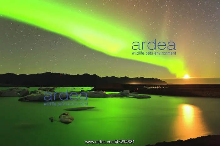 : Rising moon and Aurora Borealis and moonrise : Rising moon and Aurora Borealis and moonrise