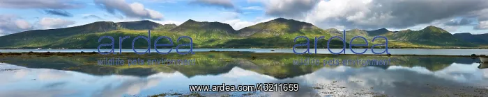 : Risoysundet, island of Hinn&, xf8;ya Iinnasuolu : Risoysundet, island of Hinn&, xf8;ya Iinnasuolu