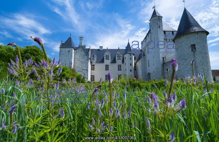 : Rivau Castle, L&, x9b65;r&, x9b20;Indre-et-Loire Department : Rivau Castle, L&, x9b65;r&, x9b20;Indre-et-Loire Department