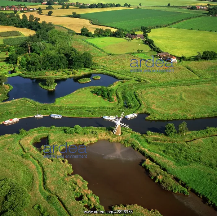 : River Ant, Norfolk Broads, near How Hill : River Ant, Norfolk Broads, near How Hill