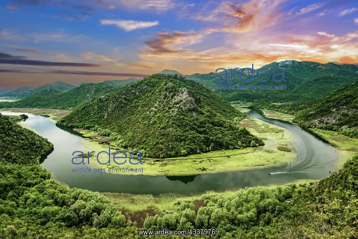 : River bend of the Rijeka Crnojevica river at sunset : River bend of the Rijeka Crnojevica river at sunset