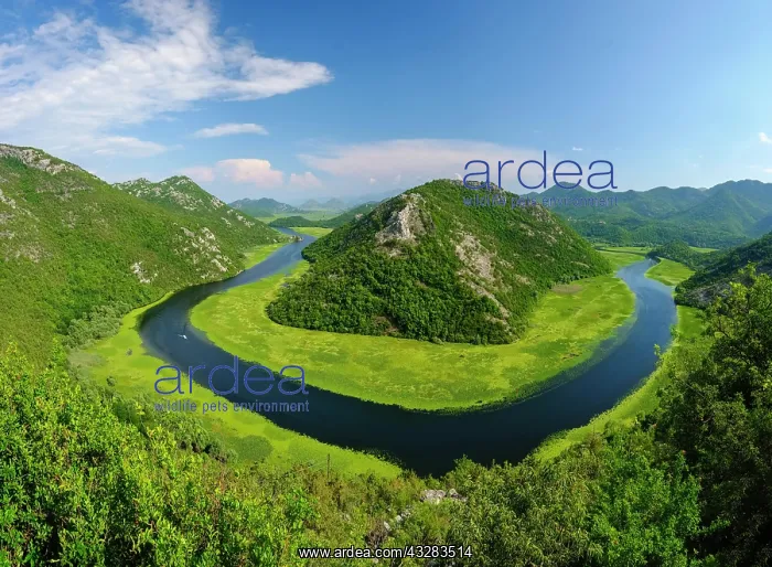  : River bend of the river Rijeka Crnojevica, view