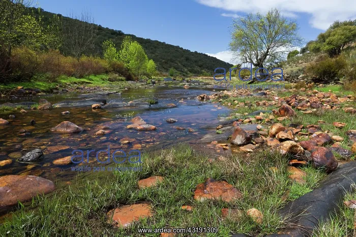 : River with boulders, Spain, Extremadura : River with boulders, Spain, Extremadura