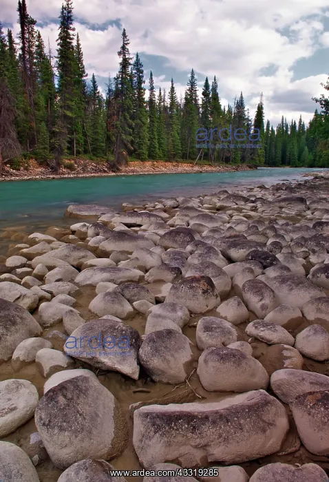 : River Cobbles at Meeting of the Rivers : River Cobbles at Meeting of the Rivers