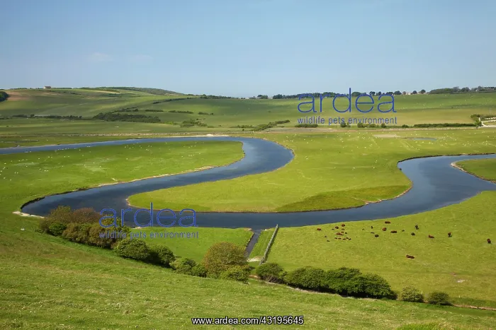 : River Cuckmere, near Seaford, East Sussex, England : River Cuckmere, near Seaford, East Sussex, England