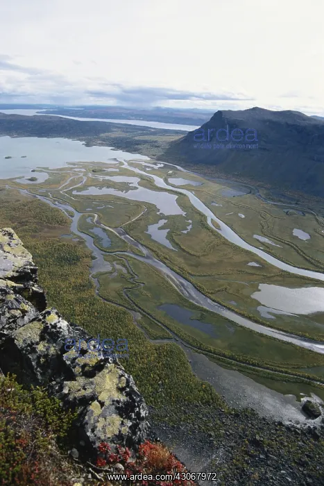 : River Delta in Sweden : River Delta in Sweden