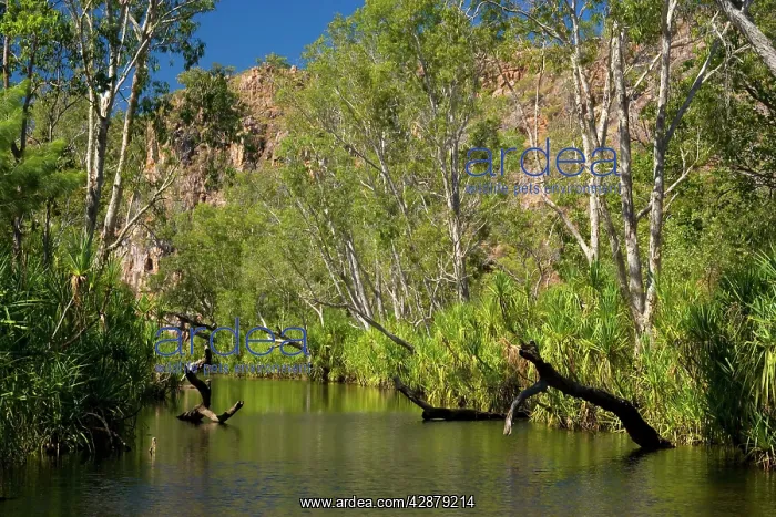  : River in the desert - a permanent river cuts its
