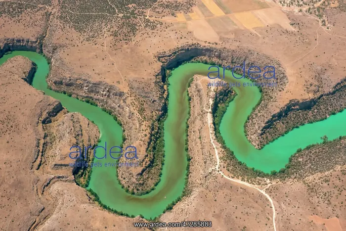 : River Duraton in barren landscape, Castile Leon : River Duraton in barren landscape, Castile Leon