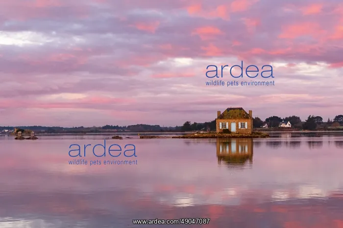: River Etel, islet of Nichtarguer, the little house with the blue shutters : River Etel, islet of Nichtarguer, the little house with the blue shutters