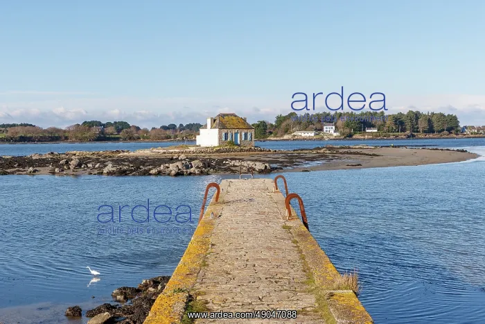 : River Etel, islet of Nichtarguer, the little house with the blue shutters : River Etel, islet of Nichtarguer, the little house with the blue shutters