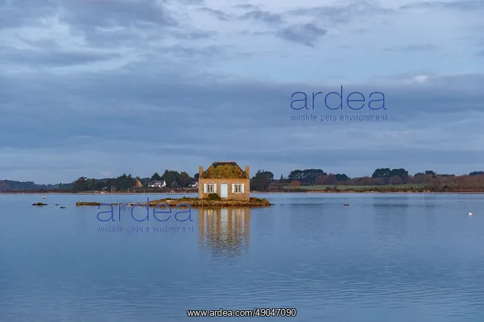 : River Etel, islet of Nichtarguer, the little house with the blue shutters : River Etel, islet of Nichtarguer, the little house with the blue shutters