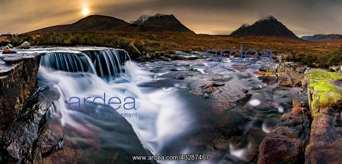 : River Etive in foreground with summit of Stob Dearg : River Etive in foreground with summit of Stob Dearg