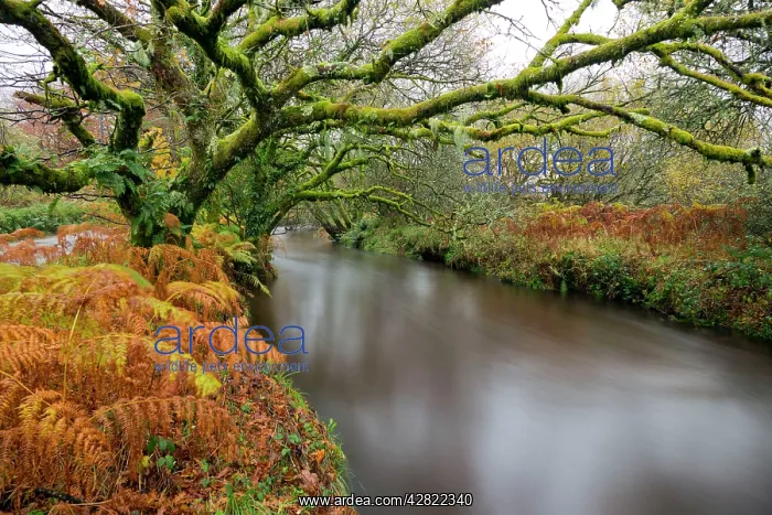  : River Fowey