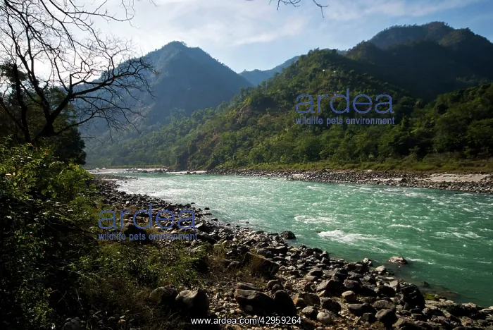  : River Ganges north of Rishikesh India