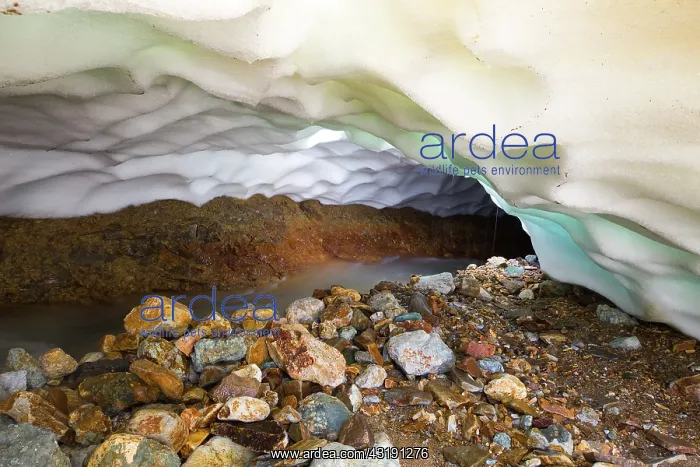 : River under glacier with colored rocks on the shore : River under glacier with colored rocks on the shore