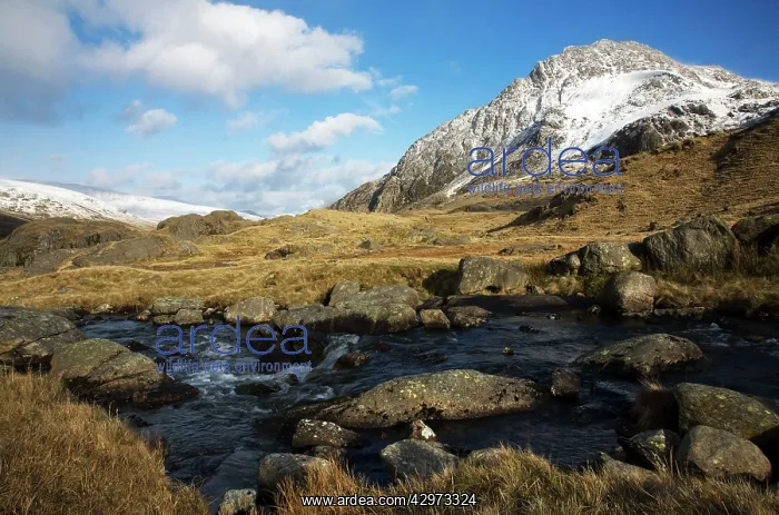 : River Idwal with Tryfan covered in snow - March : River Idwal with Tryfan covered in snow - March