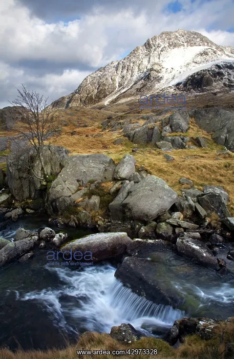 : River Idwal with Tryfan covered in snow - March : River Idwal with Tryfan covered in snow - March