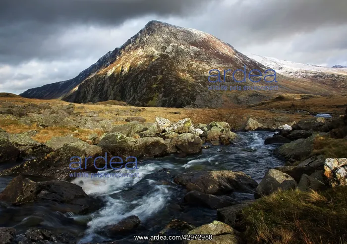 : River Idwal with views of Pen yr Old Wen in the : River Idwal with views of Pen yr Old Wen in the