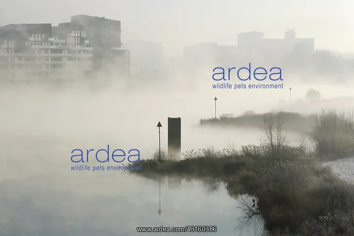 : The river IJssel is covered with fog on a cold wintermorning : The river IJssel is covered with fog on a cold wintermorning