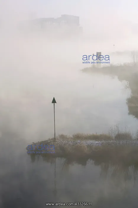 : The river IJssel is covered with fog on a cold wintermorning : The river IJssel is covered with fog on a cold wintermorning