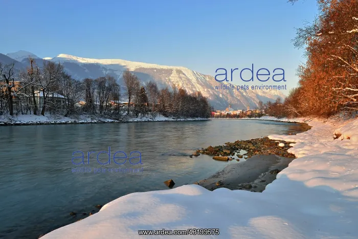 : River Inn in winter, Stanser-Joch and Rofan Mountains : River Inn in winter, Stanser-Joch and Rofan Mountains