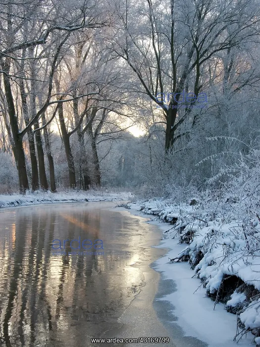 : The river kleine dommel after an extreme cold night : The river kleine dommel after an extreme cold night