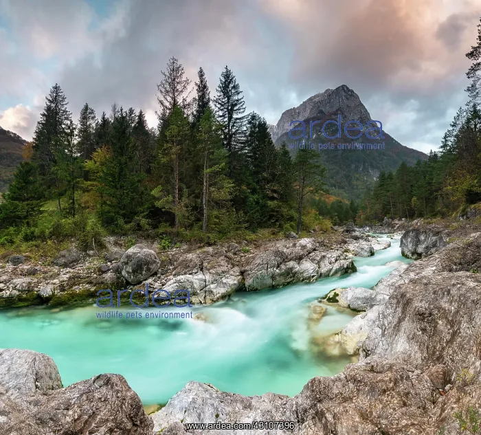 : River Koritnica, Soca Valley, Julian Alps, Bovec : River Koritnica, Soca Valley, Julian Alps, Bovec