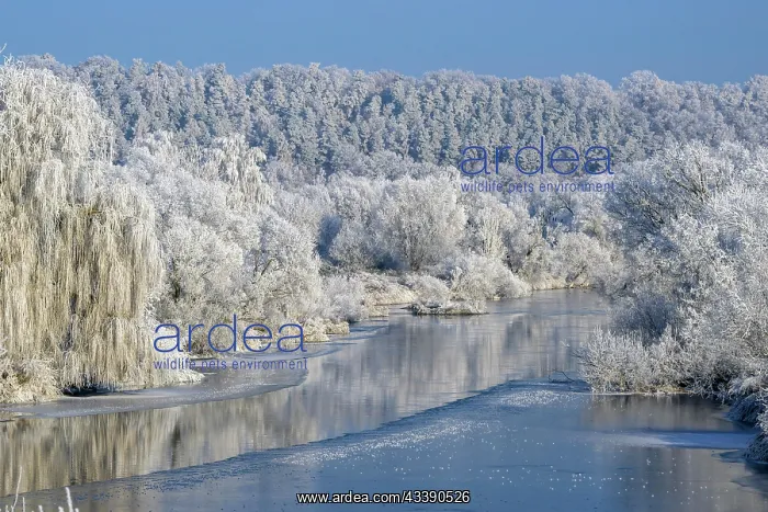 : River landscape with hoarfrost and ice, Eder, Guxhagen : River landscape with hoarfrost and ice, Eder, Guxhagen