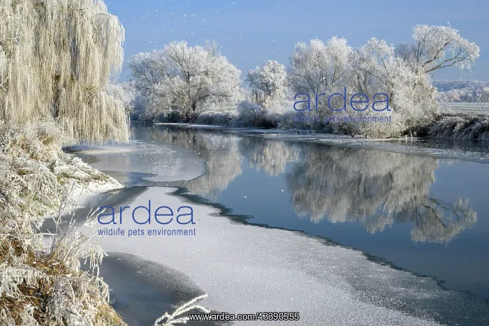 : River landscape with hoarfrost and ice, Eder, Guxhagen : River landscape with hoarfrost and ice, Eder, Guxhagen