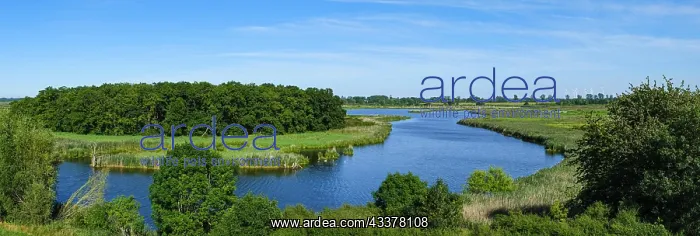 : River landscape of the meandering Peene in the Peene : River landscape of the meandering Peene in the Peene