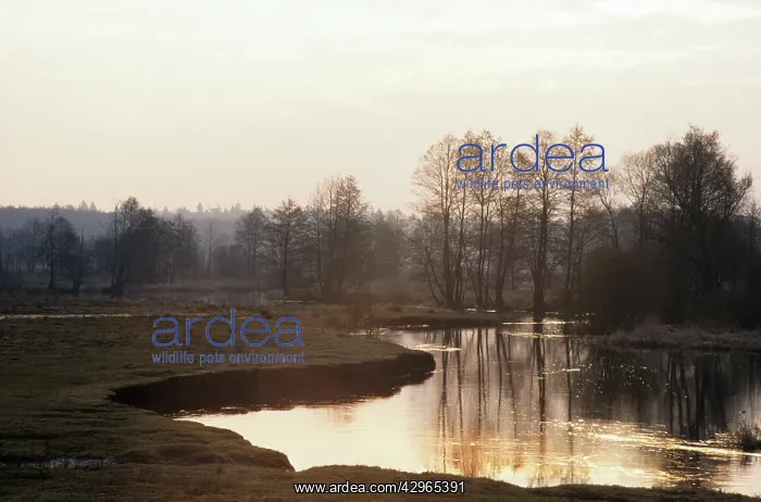 : River Lesnaya in early morning : River Lesnaya in early morning